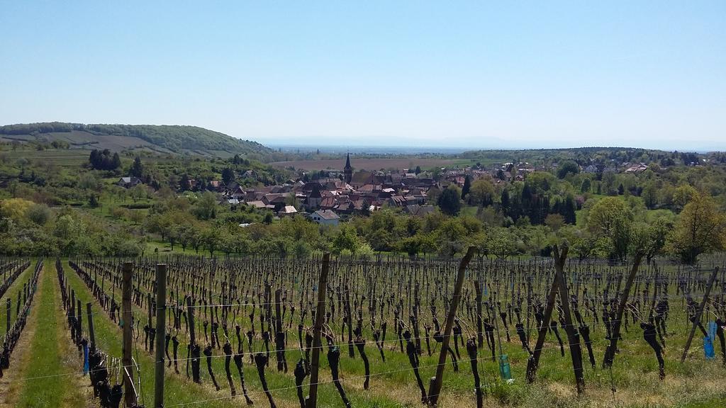 Gite Dans Cite Medievale Boersch Exterior foto